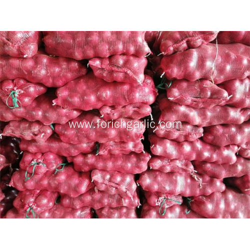 Best Quality Fresh 2020 Red Onion